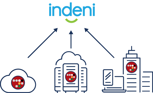 Indeni + Radware Security Infrastructure